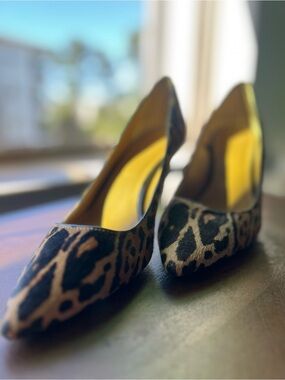 Calvin Klein Leopard Print Pointed Pumps - Brown/Black hide